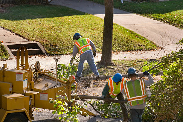 Mulching Services in Round Lake Park, IL